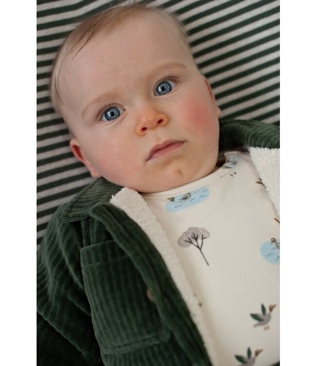 Feetje 51300579 Jasje velours rib - Wiggle and Waddle Groen