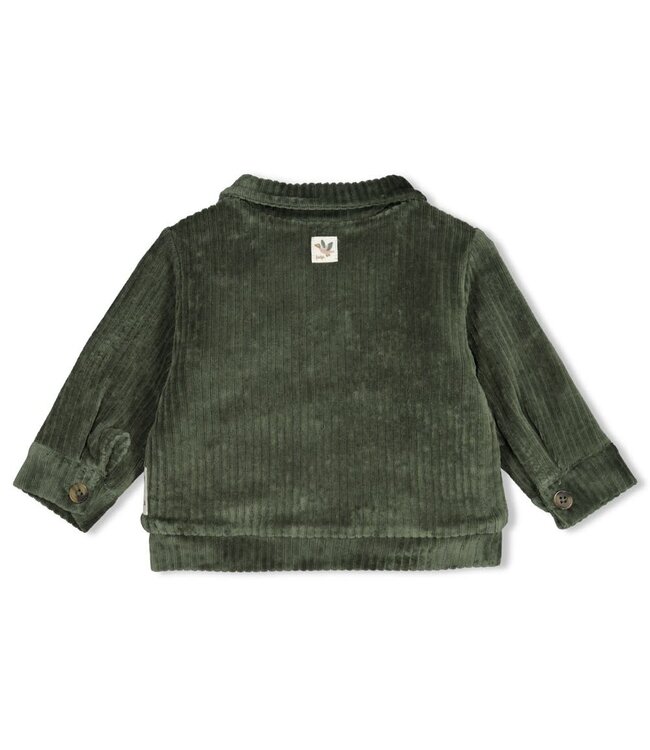 Feetje 51300579 Jasje velours rib - Wiggle and Waddle Groen