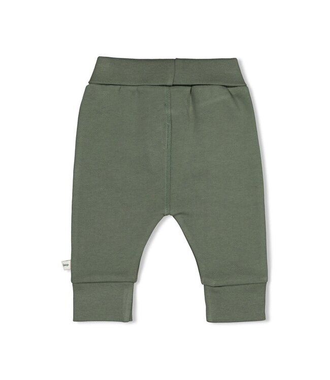 Feetje 52202650 Broek - Wiggle and Waddle Groen