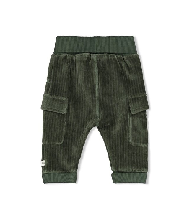 Feetje 52202598 Broek velours rib - Wiggle and Waddle Groen