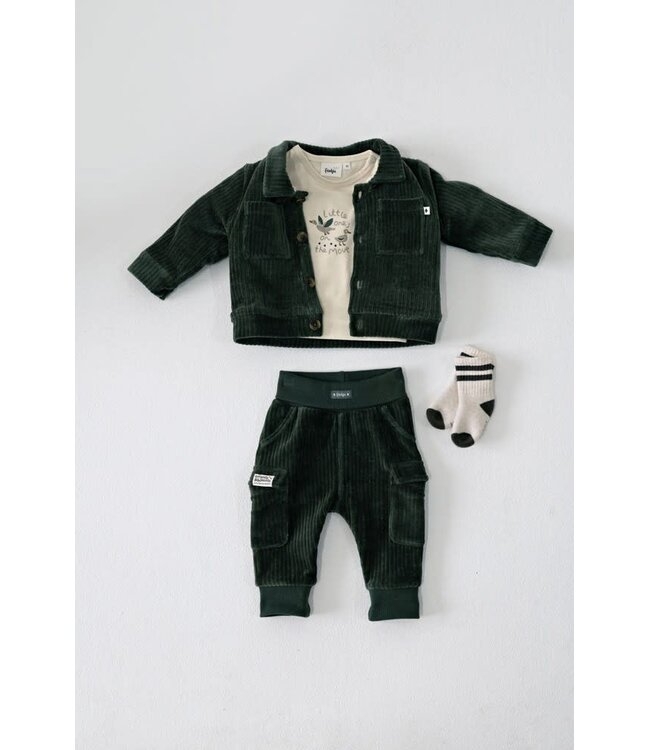 Feetje 52202598 Broek velours rib - Wiggle and Waddle Groen