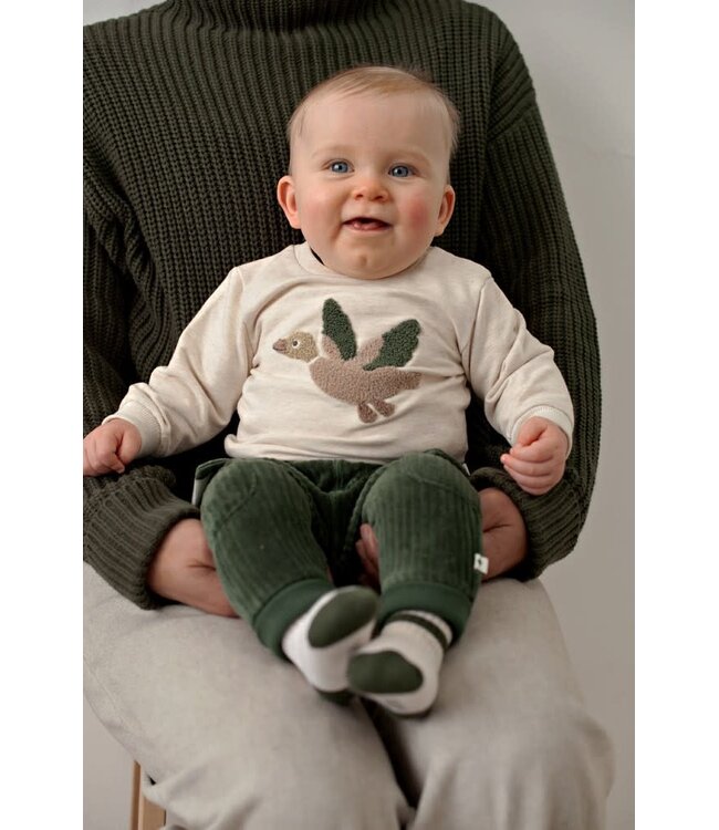 Feetje 52202598 Broek velours rib - Wiggle and Waddle Groen