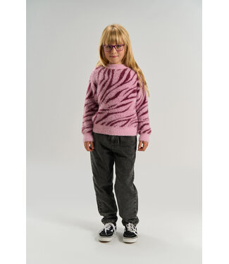The New Meisjes Roze Trui