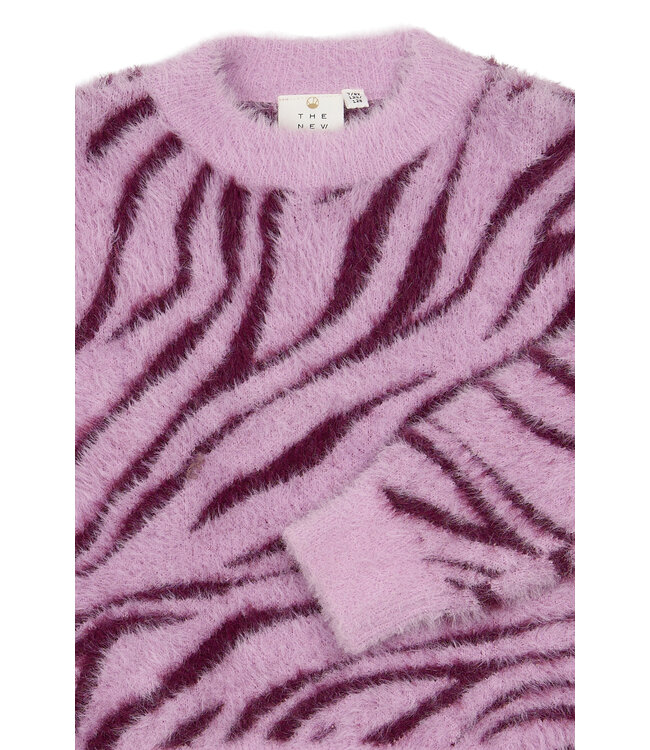 The New TNVania Jacquard Pullover
