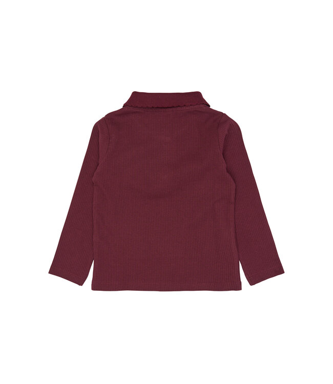 The New TNSTVernina L_S Rib Polo