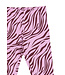 The New TNVebra Leggings