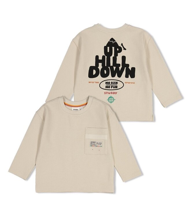 Sturdy 71600656 Longsleeve met backprint oversized- Mountain top Offwhite