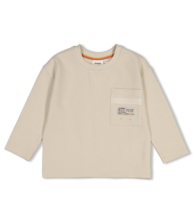 Sturdy 71600656 Longsleeve met backprint oversized- Mountain top Offwhite