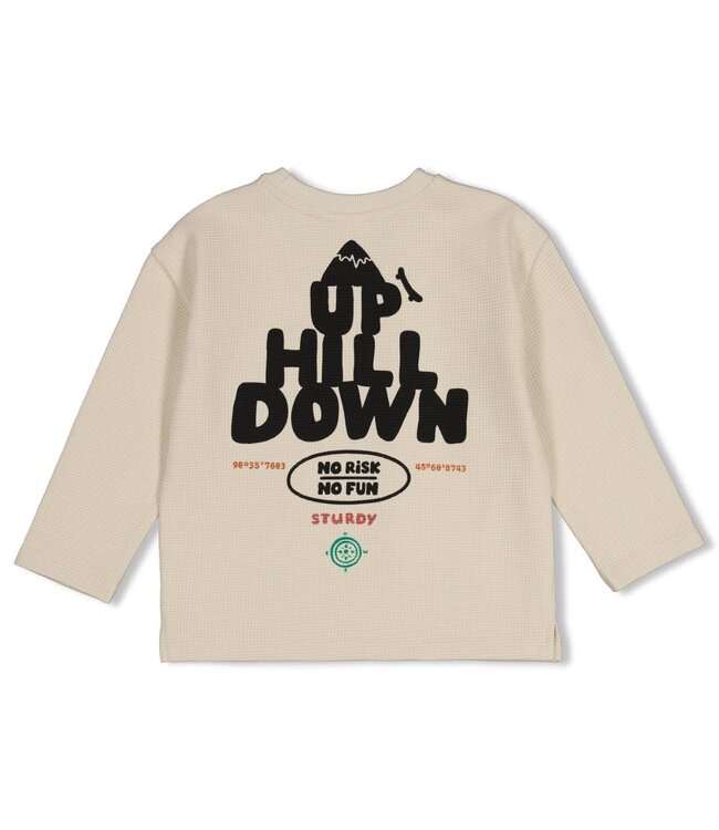 Sturdy 71600656 Longsleeve met backprint oversized- Mountain top Offwhite