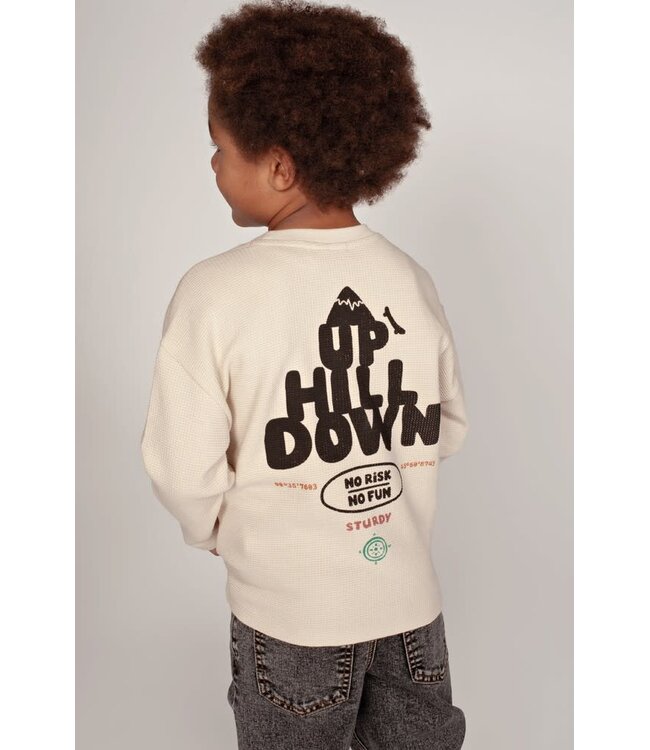 Sturdy 71600656 Longsleeve met backprint oversized- Mountain top Offwhite