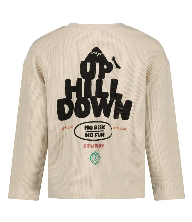 Sturdy 71600656 Longsleeve met backprint oversized- Mountain top Offwhite