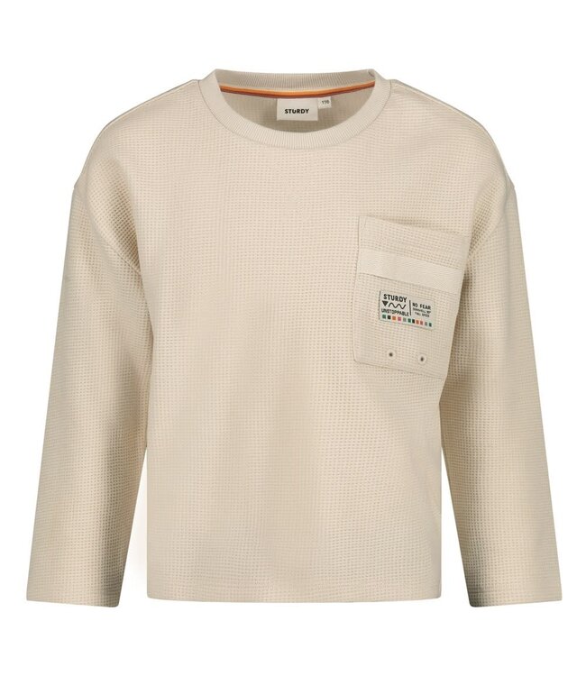 Sturdy 71600656 Longsleeve met backprint oversized- Mountain top Offwhite