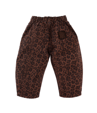 Z8 Molly Autumn Teddy