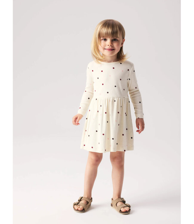 Name it mini NMFNUTTI LS DRESS 13259554