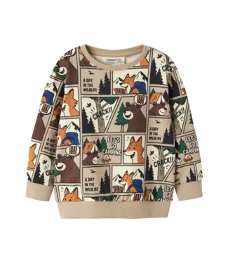 Name it mini Jongens Trui