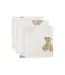 Jollein Monddoekje Hydrofiel 31x31 cm - Teddy bear