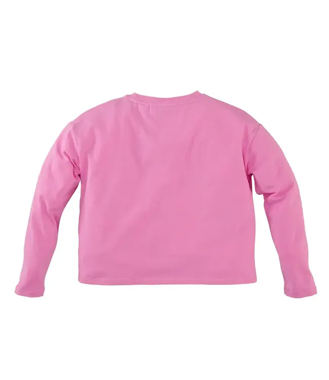 Z8 4039 Loes Pink power