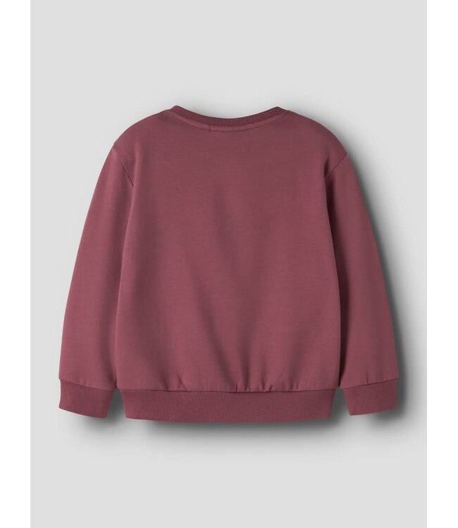 Name it mini NMFOCLOVE LS NREG SWEAT BR 13260197 Wild Ginger