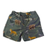 Name it mini 13241449 NMMPZIMON L SWIM SHORTS