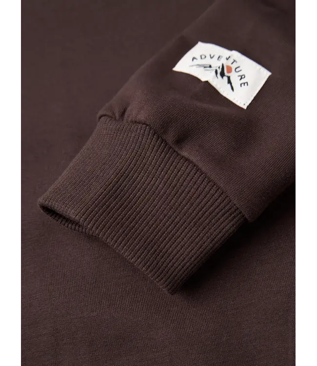 Name it mini NMMOMID LS NREG SWEAT BRU 13260175 Chocolate Plum