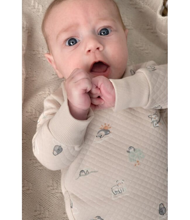 Feetje 51602786 Overslagshirt AOP - Penguin Cuddles