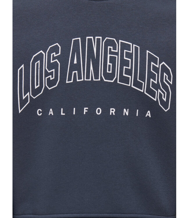 ONLY 15353354 KOGSWEAT LS CREW OVZ STAT SWT NOOS Ombre Blue Los Angeles - California