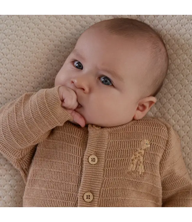 Little Dutch Safari Friends Gebreid Vest Bruin