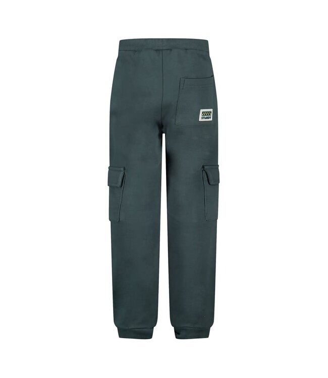 Sturdy 72200273 Cargo broek - Fix It Petrol