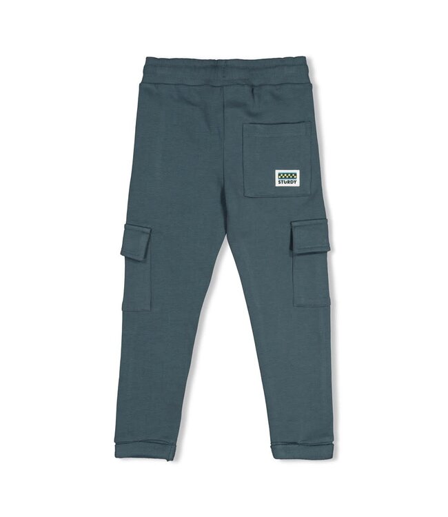 Sturdy 72200273 Cargo broek - Fix It Petrol