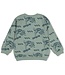 Sturdy 71600690 Sweater AOP relaxed fit - Fix It Jade Groen