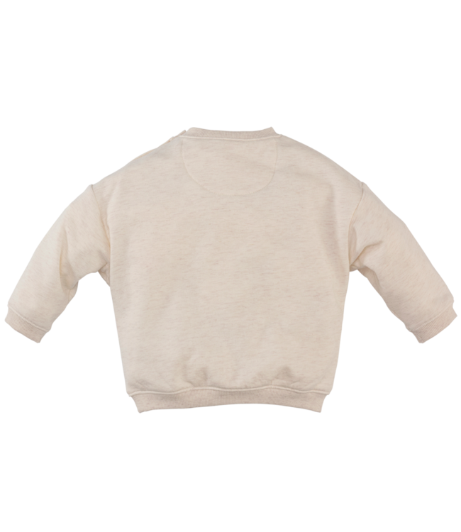 Z8 Beau Beige melange Boys