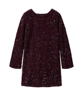 Name it NKFRUSITTA LS DRESS 13238600 Catawba Grape
