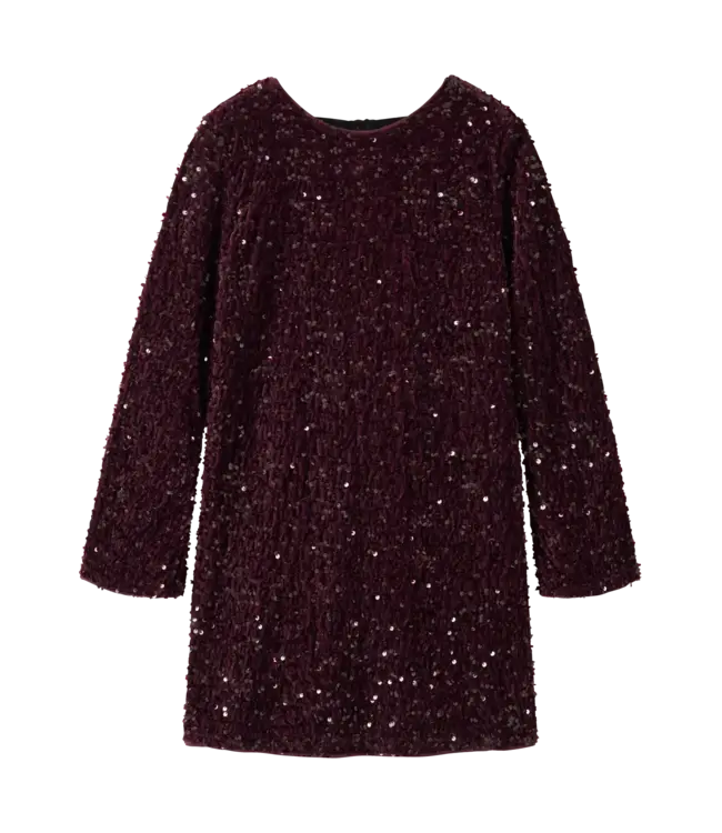 Name it NKFRUSITTA LS DRESS 13238600 Catawba Grape