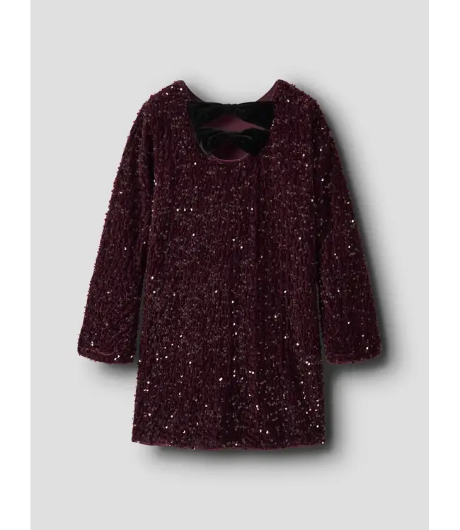 Name it NKFRUSITTA LS DRESS 13238600 Catawba Grape