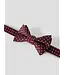 Name it mini NMMRAFFI BOWTIE 13262736 Andorra