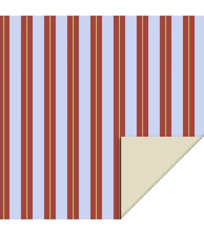 Piraten & Prinsessen Ingepakt in Stripe Chalk Blue cadeaupapier