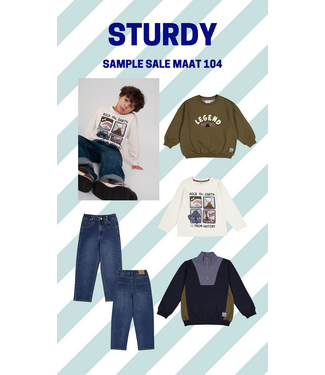 Sturdy Set 50 Sample Sale Rock the Earth 4X