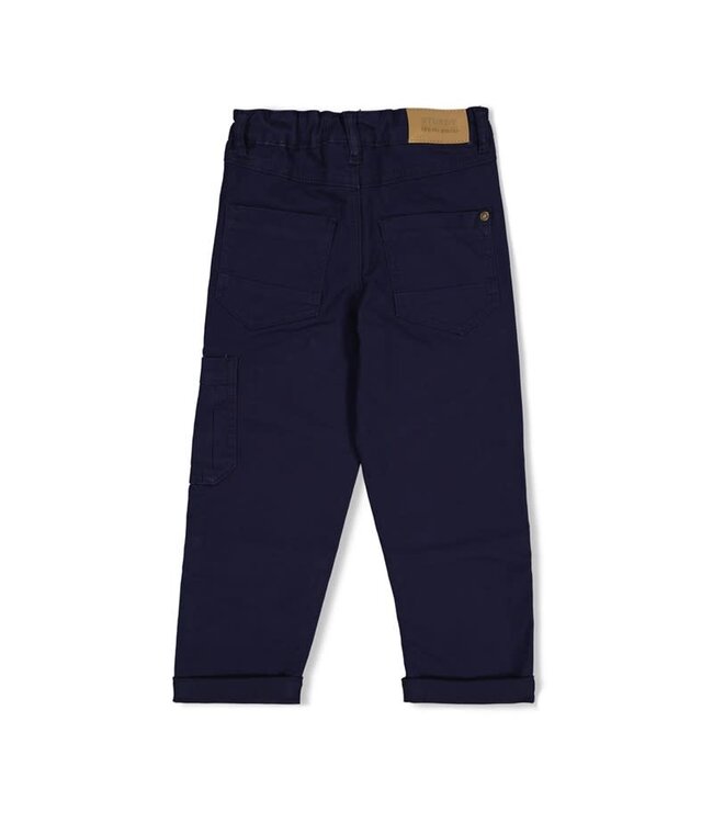 Sturdy Set 48 Sample Sale Rock the Earth 3X