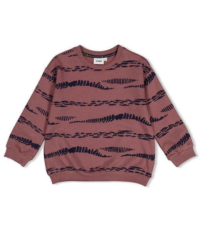 Sturdy Set 48 Sample Sale Rock the Earth 3X