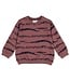 Sturdy Set 48 Sample Sale Rock the Earth 3X