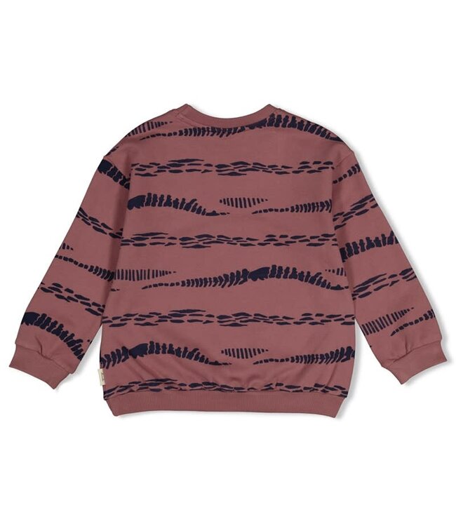 Sturdy Set 48 Sample Sale Rock the Earth 3X