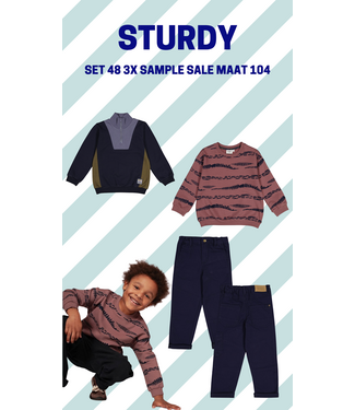 Sturdy Set 48 Sample Sale Rock the Earth 3X