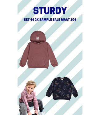 Sturdy Set 44 Sample Sale Rock the Earth 2X