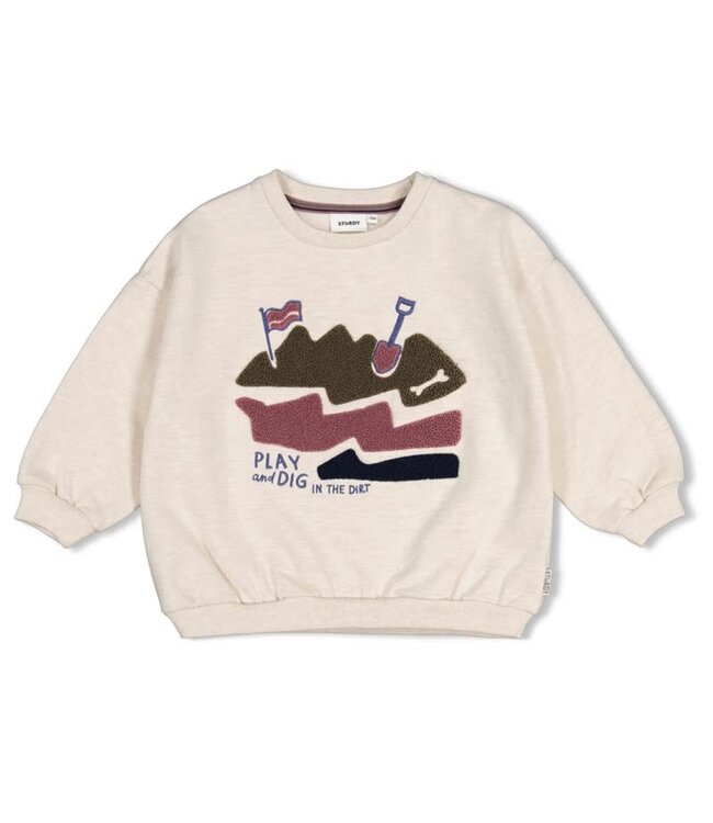 Sturdy Set 43 Sample Sale Rock the Earth 2X
