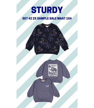 Sturdy Set 42 Sample Sale Rock the Earth 2X