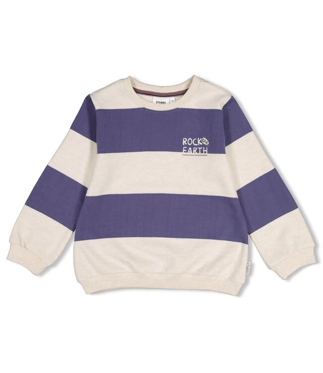 Sturdy Set 41 Sample Sale Rock the Earth 2X