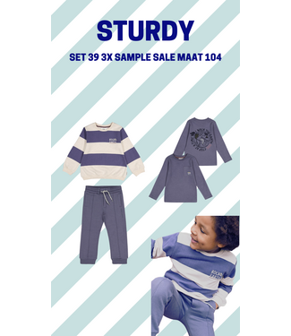 Sturdy Set 39 Sample Sale Rock the Earth 3X