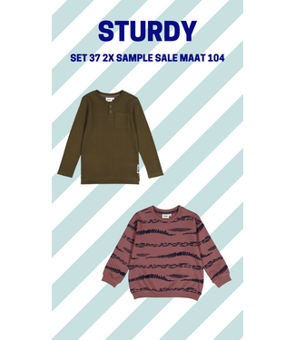 Sturdy Set 37 Sample Sale Rock the Earth 2X
