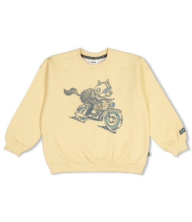 Sturdy Set 33 Sample Sale Sale Fix It  3X: