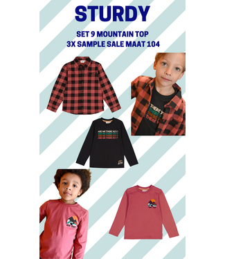 Sturdy Set 9 Sample Sale Mountain Top 3x
